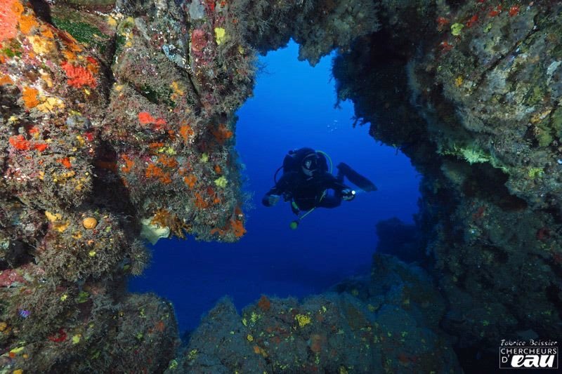 Plonger avec Aquasport Diving Lanzarote